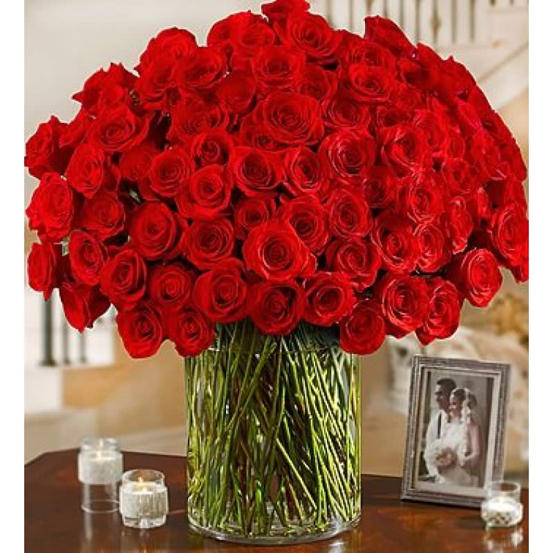 You complete me 100 roses EBF-359