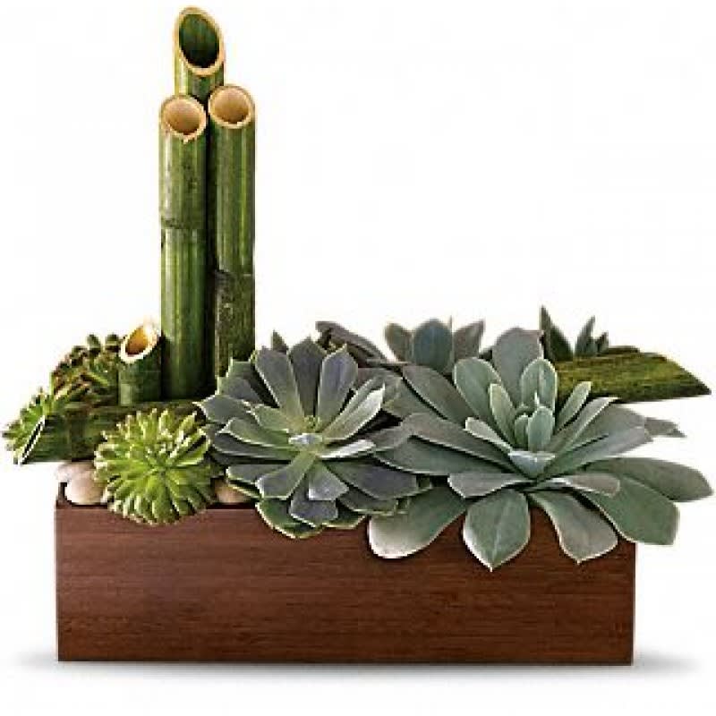 Succulent Garden EBF-324
