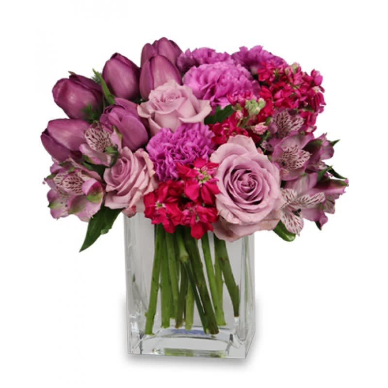 Lavish lavender EB-593