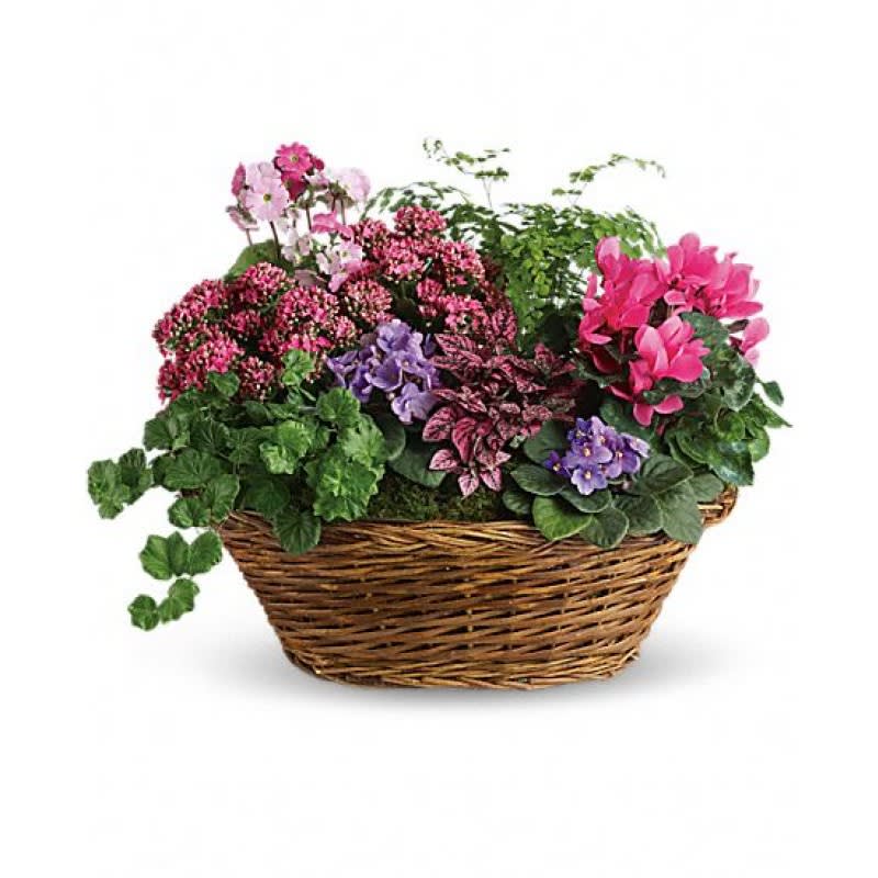 Bloomer basket EBF-127 Flower Bouquet