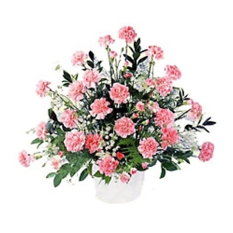 Blush Tribute EBF-132 Flower Bouquet
