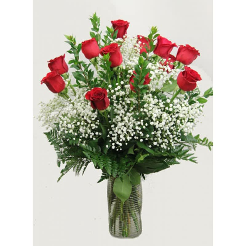 Dozen RED premium long stem roses  EBF-472