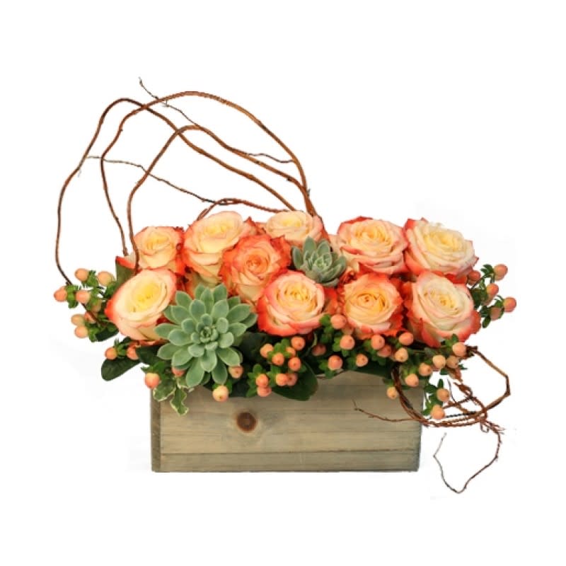 Peach delight EBF-279