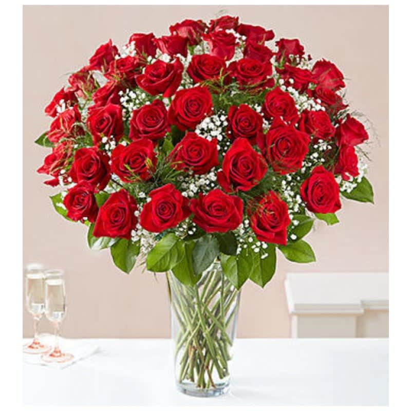 4 Dz red roses EBF-237
