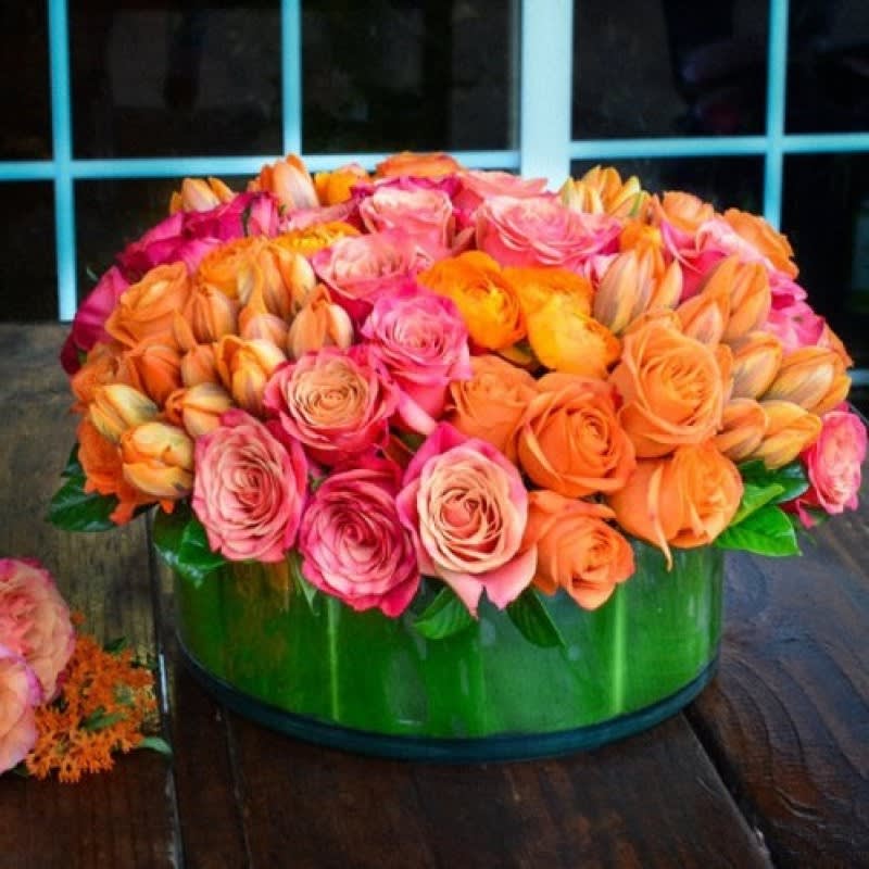 Stunning Beauty EBF-505