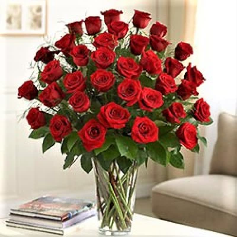 3Dz premium long stem roses EBF-581 Flower Bouquet