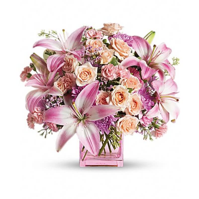 Dreaming in Pink - EBF-382