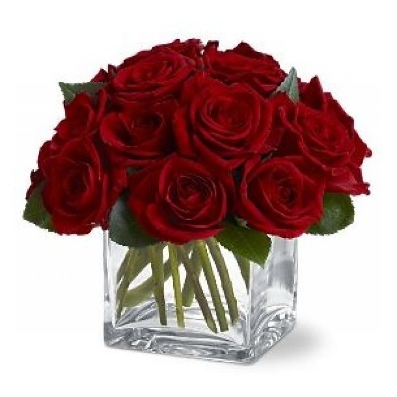 Secret admirer EBF-307