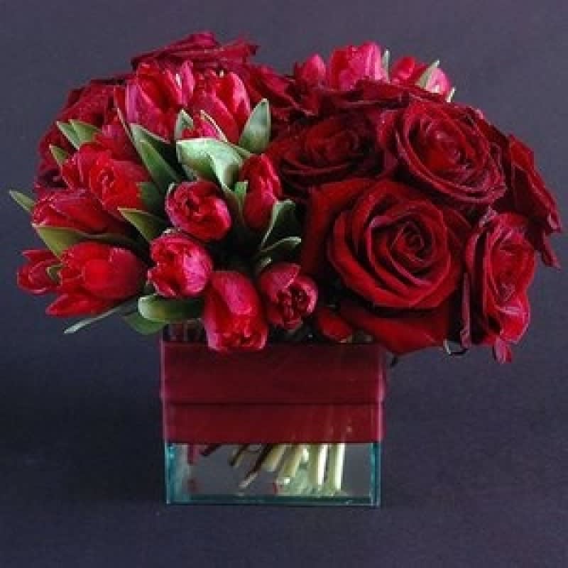 Velvet Red bouquet EBF-346