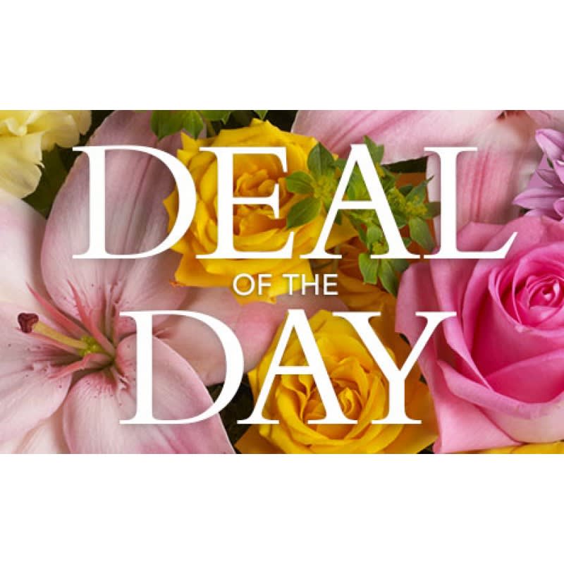 Cant Decide What to ? Let Our Designer do it for you