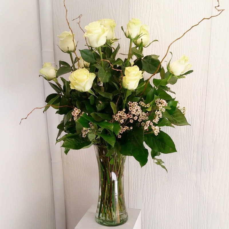 White Beauty Roses EBF-348