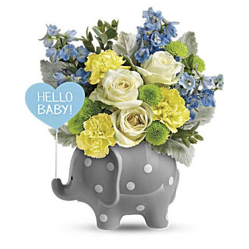 Hello Sweet Baby - Blue EB-75