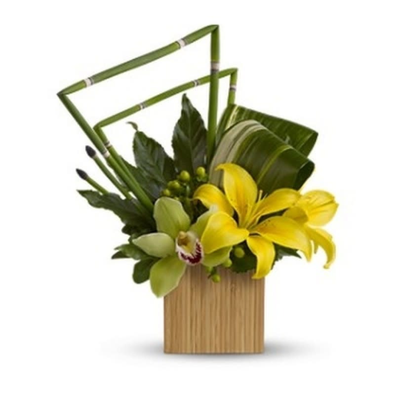 Yellow Beauty EBF-357