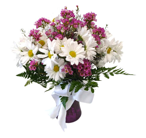 Sweet As A Daisy V-1405