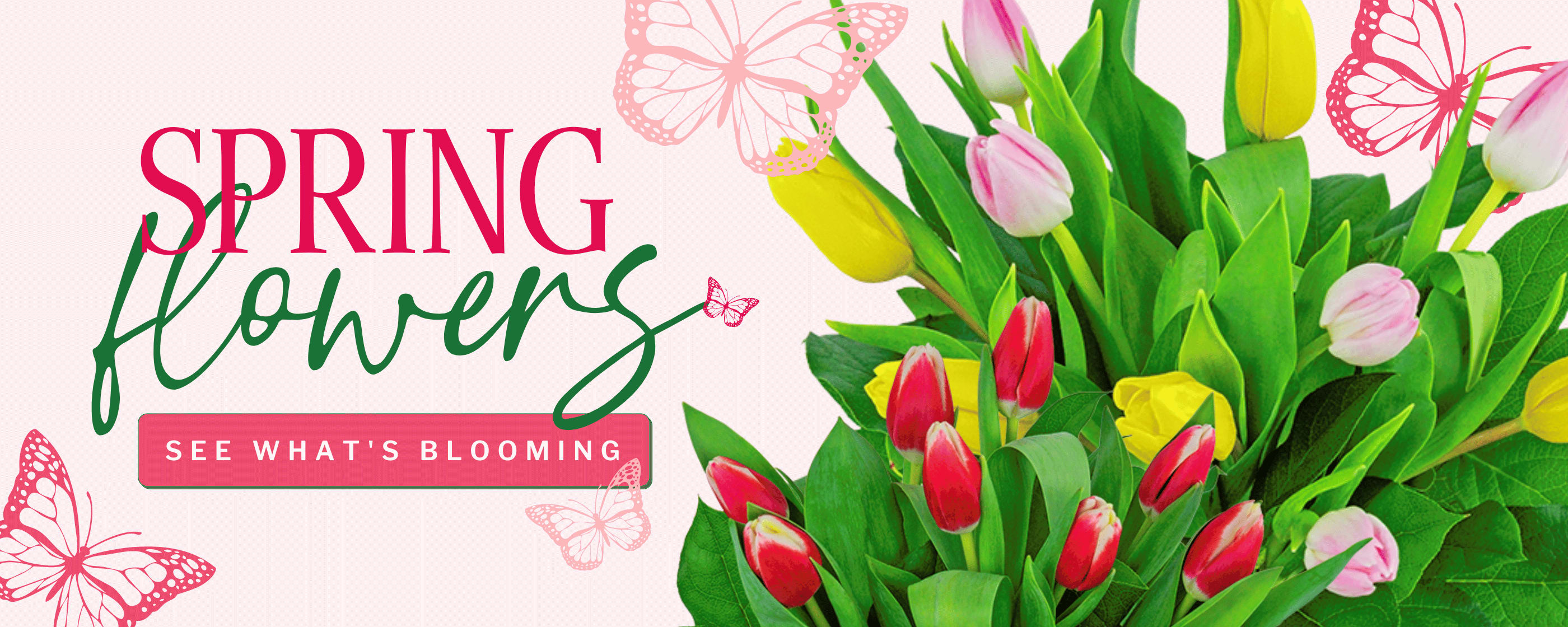 Bloomfield NY Florist - SAME-DAY Flower Delivery in Bloomfield NY ...