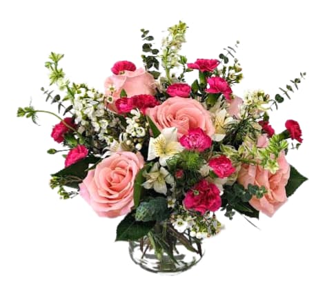 California Vibes V-1408