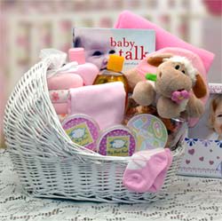Welcome Baby Bassinet New Baby Basket-Pink
