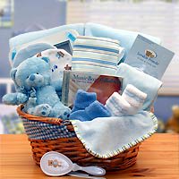 Simply The Baby Basics New Baby Gift Basket- Blue Flower Bouquet