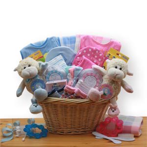 Double Delight Twins New Baby Gift Basket -Pink/Blue