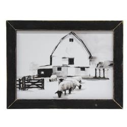 Sheep Framed Print
