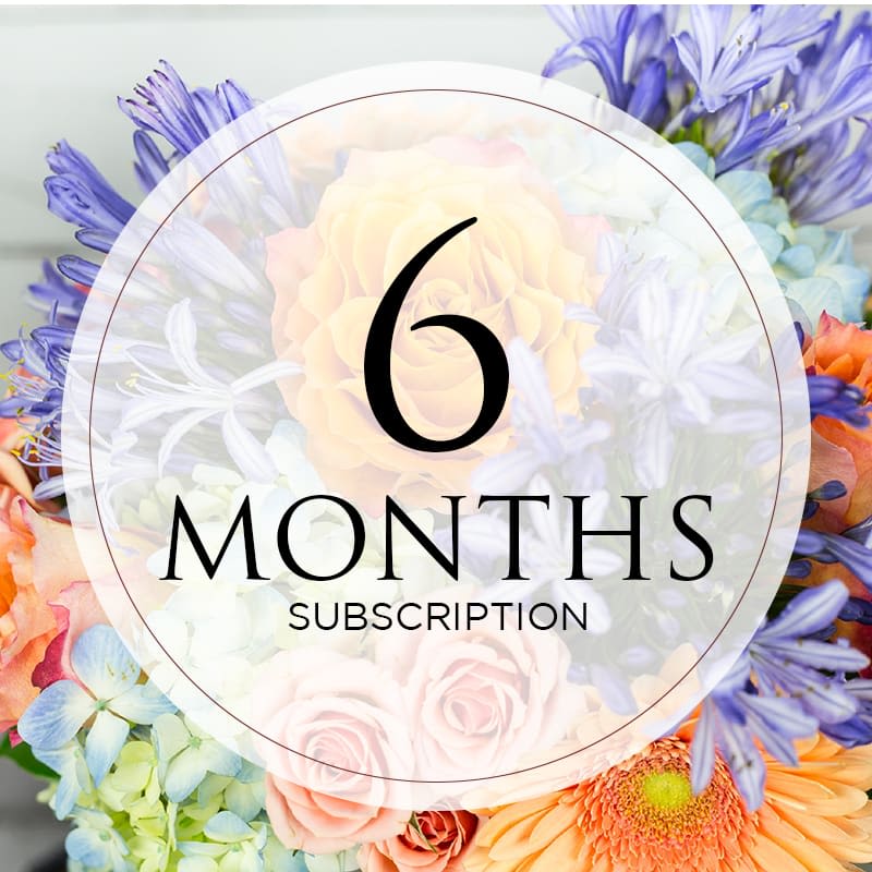 6 Months Subscription