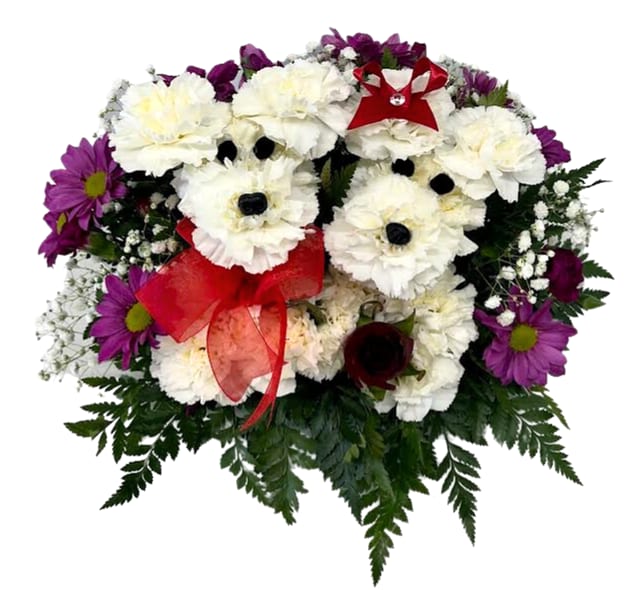 Florist Tempe AZ Fiesta Flowers, Plants & Gifts Tempe AZ