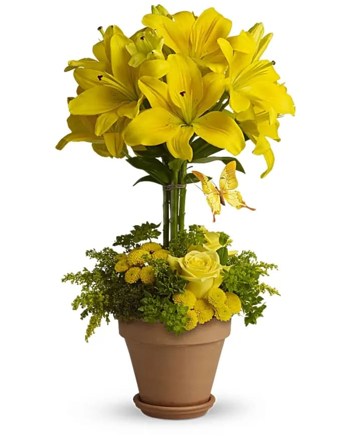 Yellow Fellow Sandra 994 Flower Bouquet