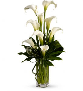 My Fair Lady by Teleflora