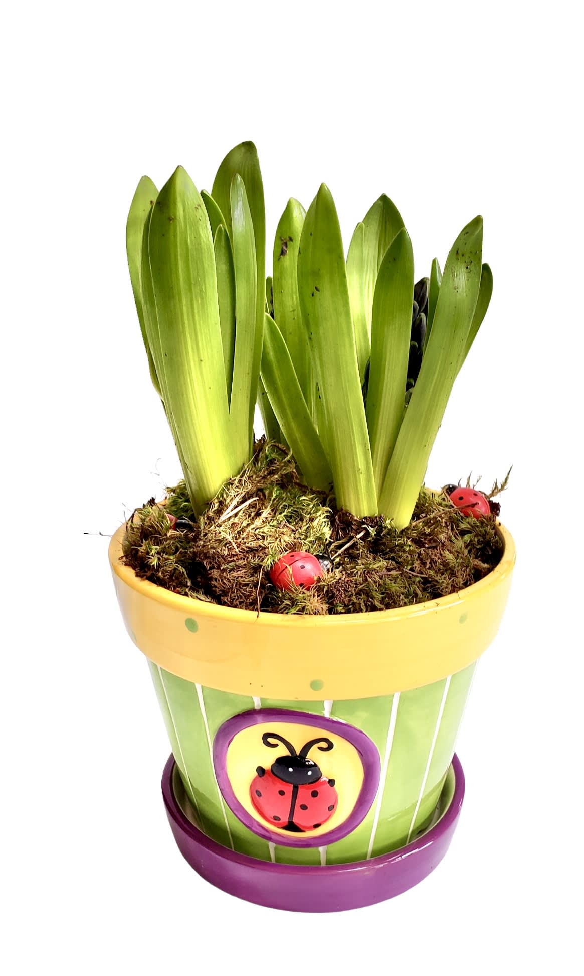 Lady Bug Bulbs Flower Bouquet