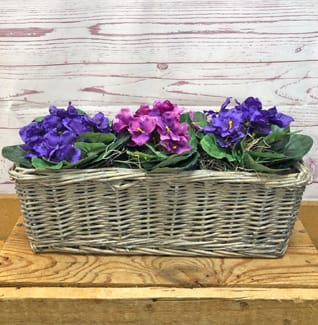 Silk (Artificial) African Violet Basket