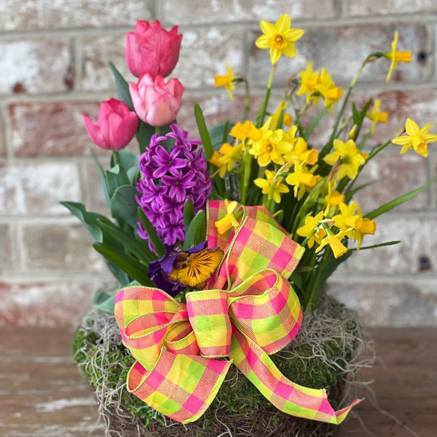 Jeffrey's Exclusive Bulb Planter 3