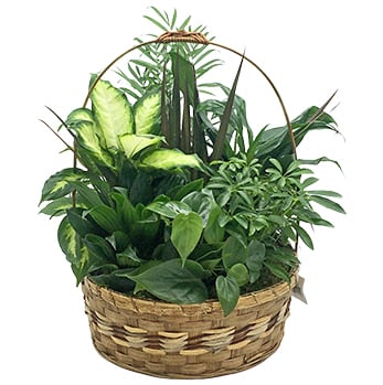  Garden Basket 2023