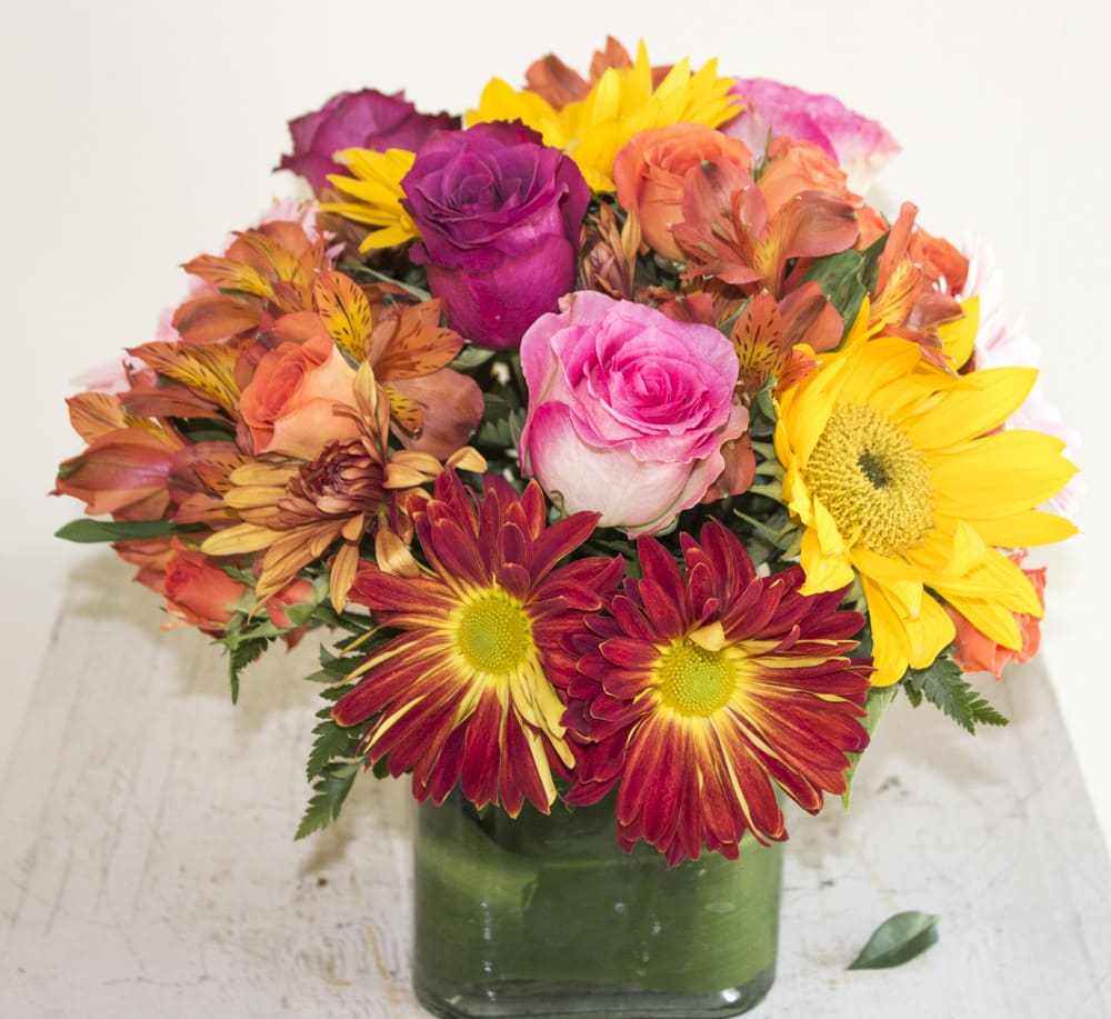 Just Because Flower Delivery Napa CA Sal The Flower Guy