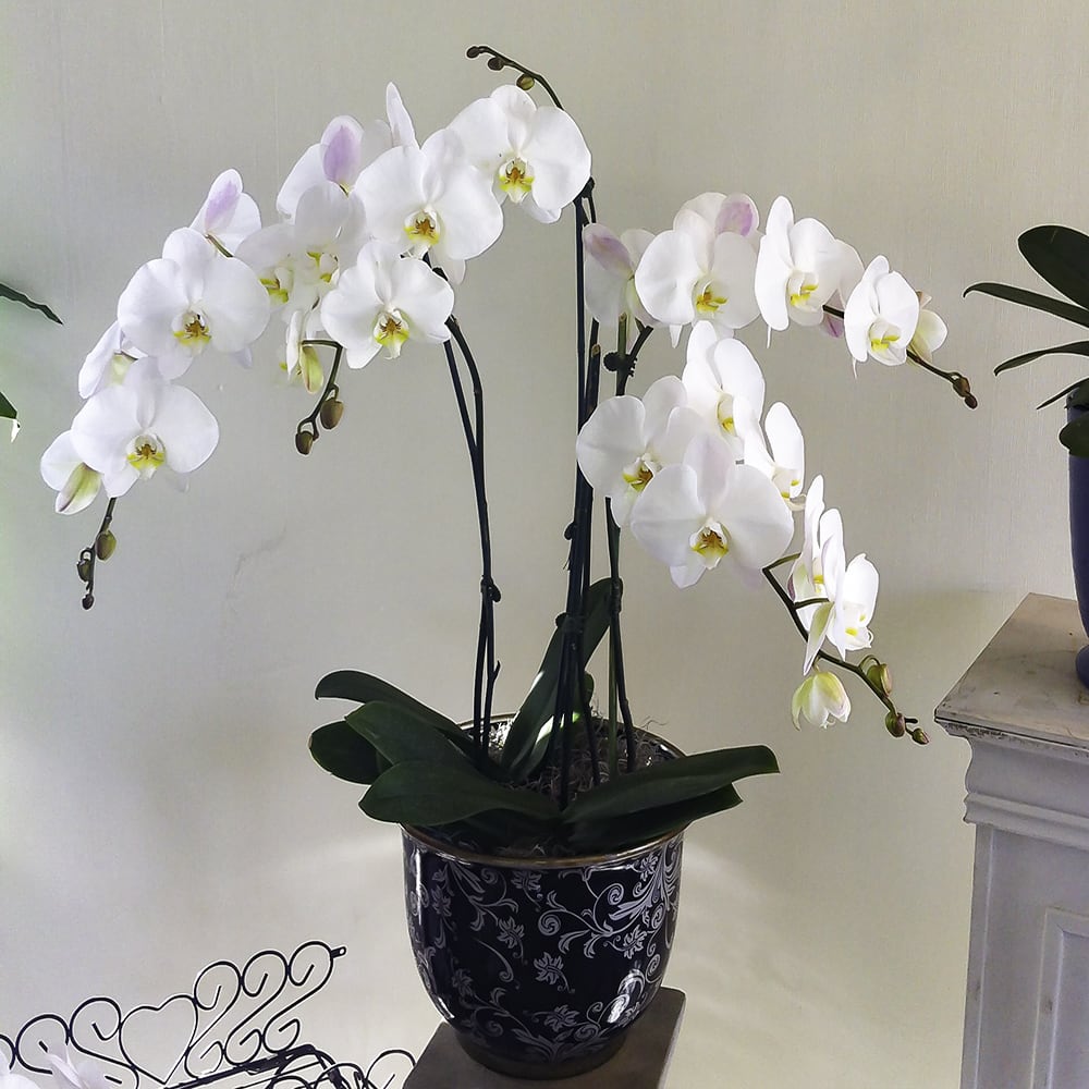 SFG039 Flower Bouquet