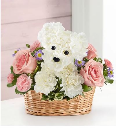 She is Pawsome Basket Flower Bouquet