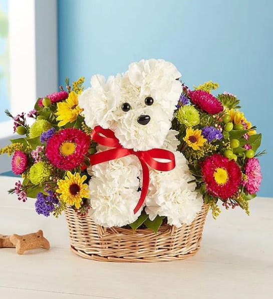 a-DOG-able® in a Basket