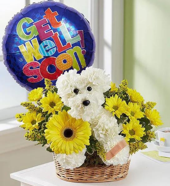 Sick As A Dog (Local Deliveries Only) Flower Bouquet