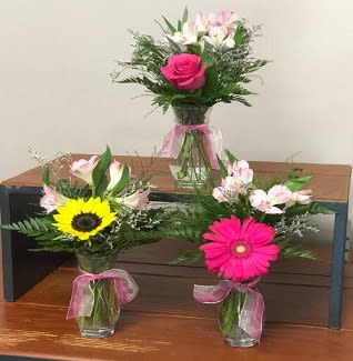 Multiple Item Set:  Ready, "Set", Go!