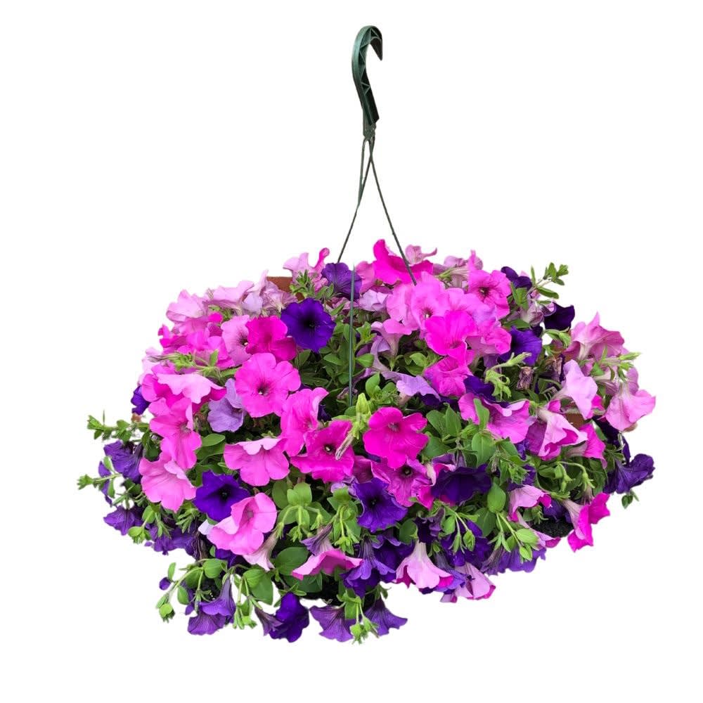 Single Hanging Basket Flower Bouquet