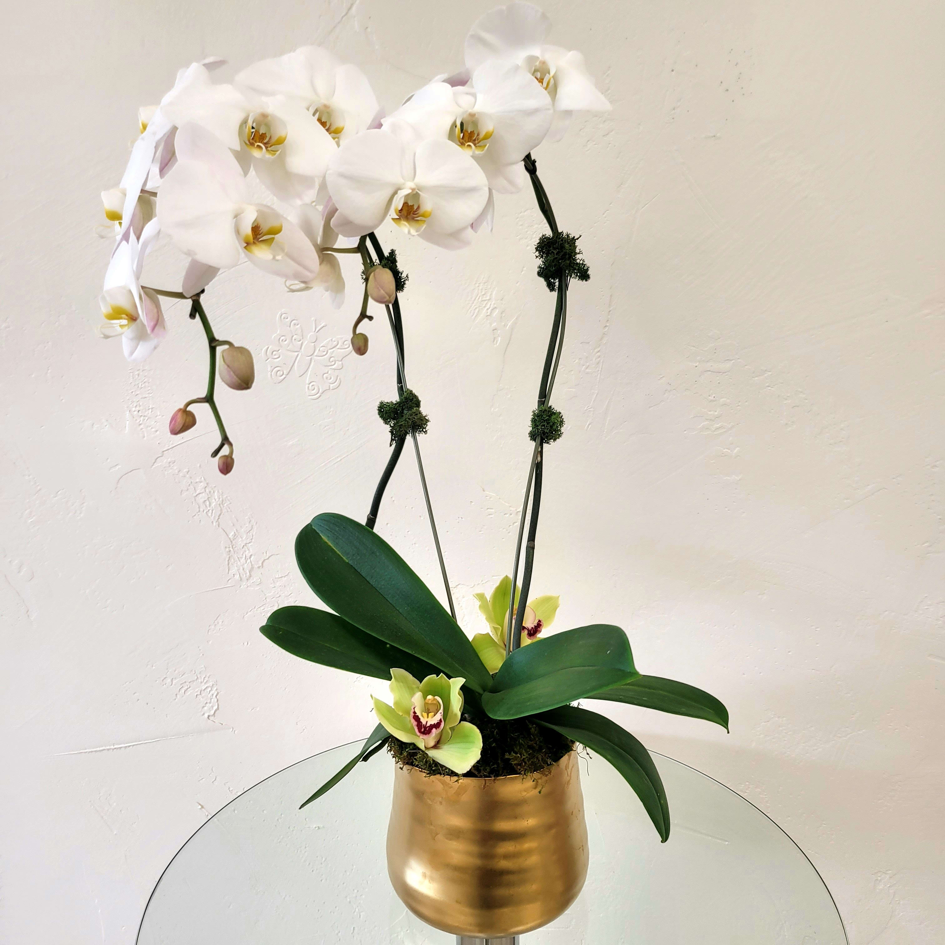 Orchid Flower Bouquet