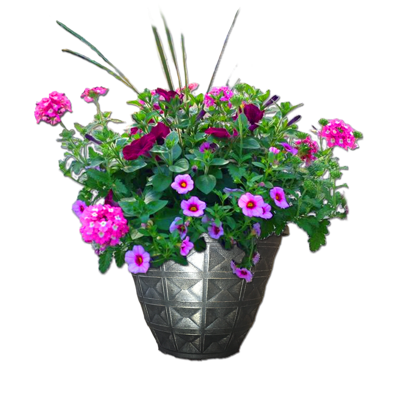 Blooming Garcia Pot
