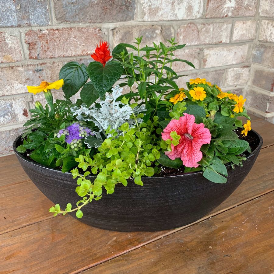 Outdoor Summer Planter Oval