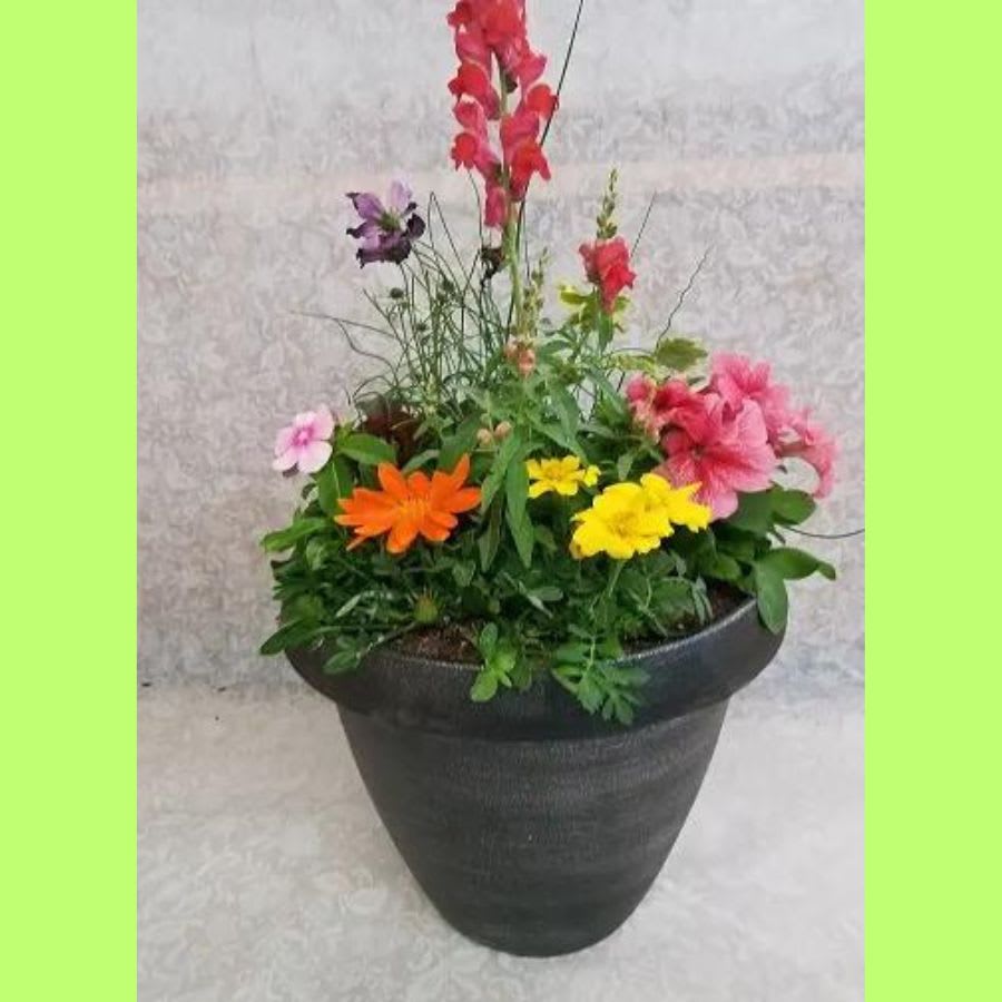 Summer Deck Planter