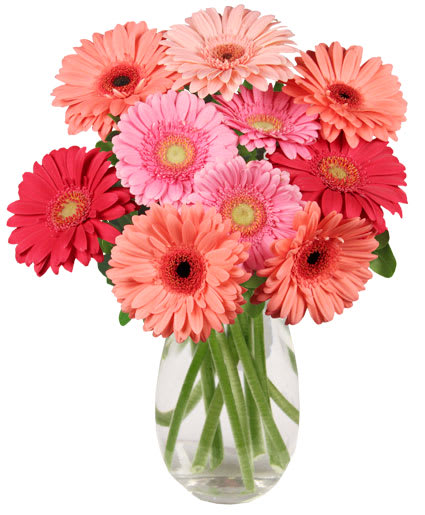 DANCING DAISIES Flower Bouquet