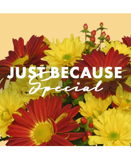 JUST BECAUSE SPECIAL