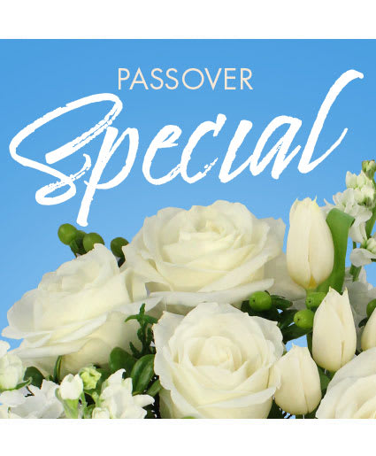 PASSOVER SPECIAL