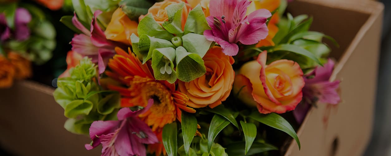 Northbrook Florist Flower Delivery by Edwards Florist of Northbrook