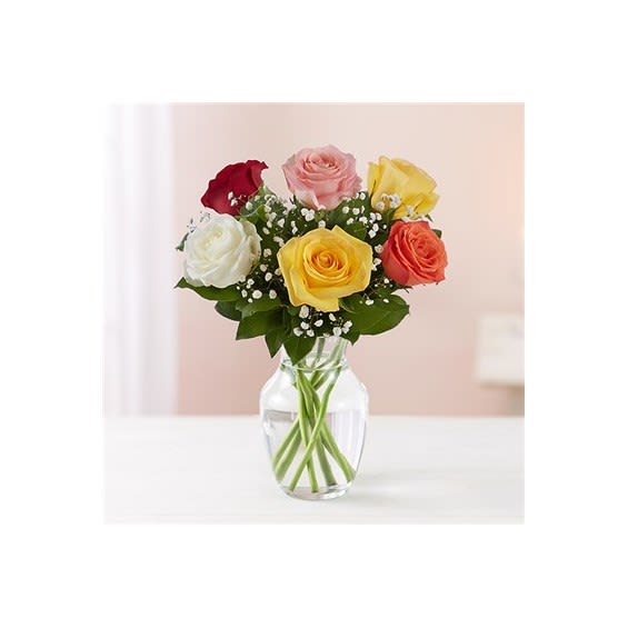 Classic 6 Multicolor Rose Vase