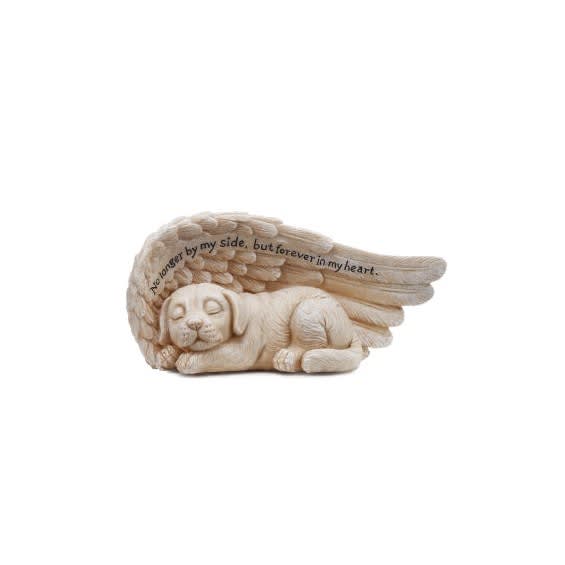 Small Sleeping Dog In Wing