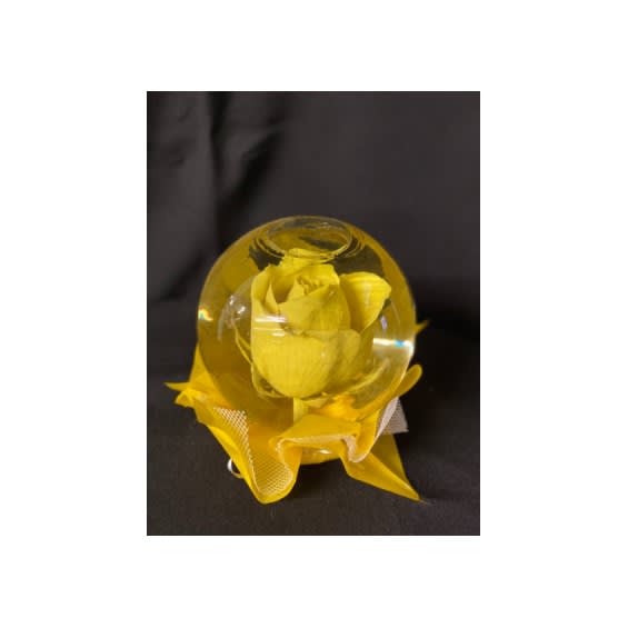 Rose Globes Flower Delivery Midland TX Flowerama of Midland